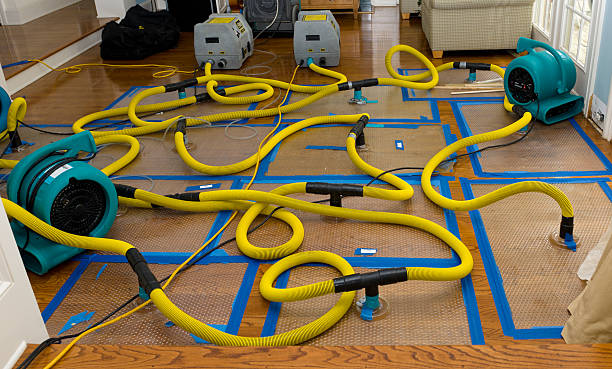 Professional Storm Water Damage Restoration technician working in Roseland, OH